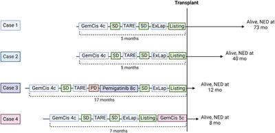 Liver Transplantation for Intrahepatic Cholangiocarcinoma After Chemotherapy and Radioembolization: An Intention-To-Treat Study